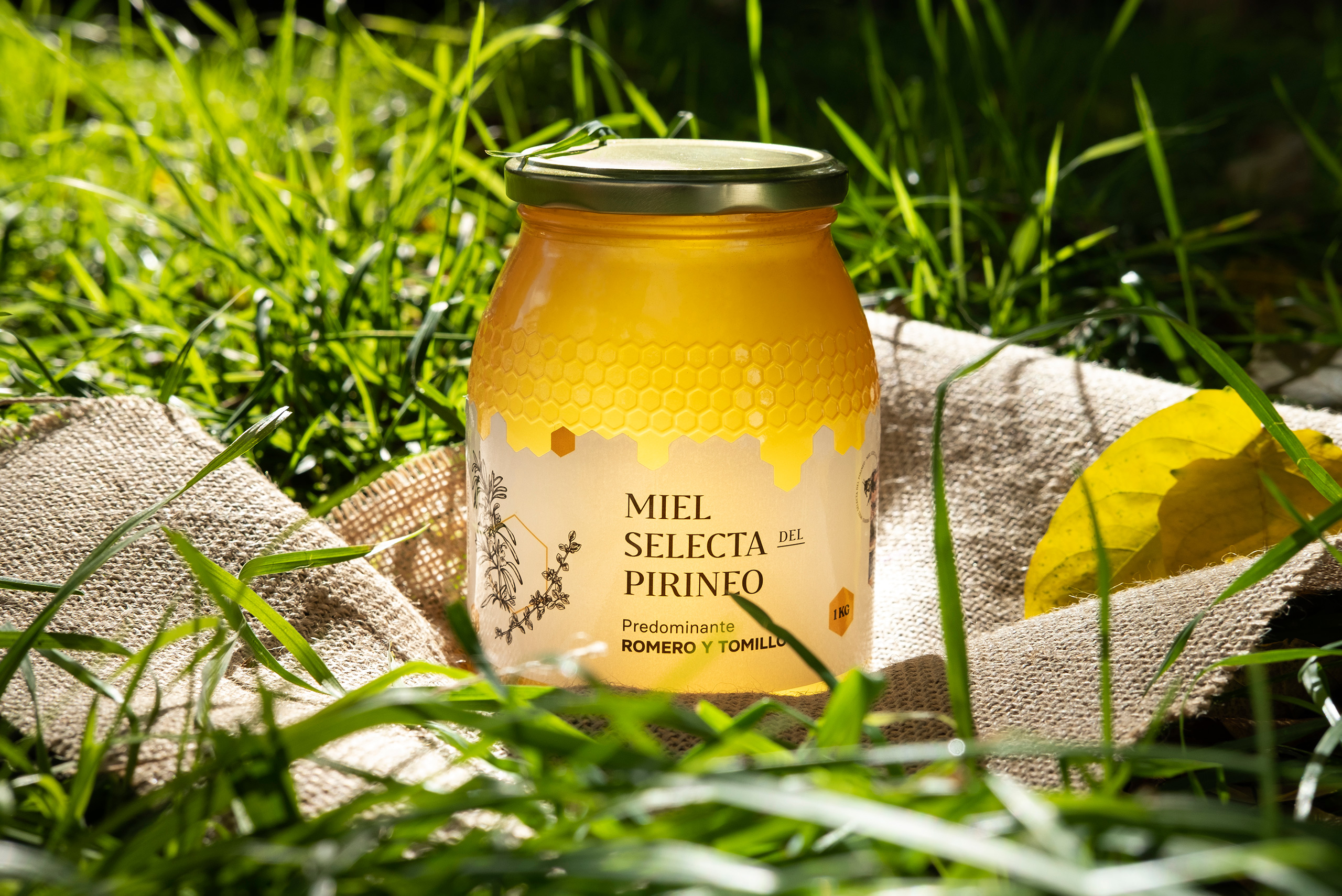DSCF2592–miel-tomillo