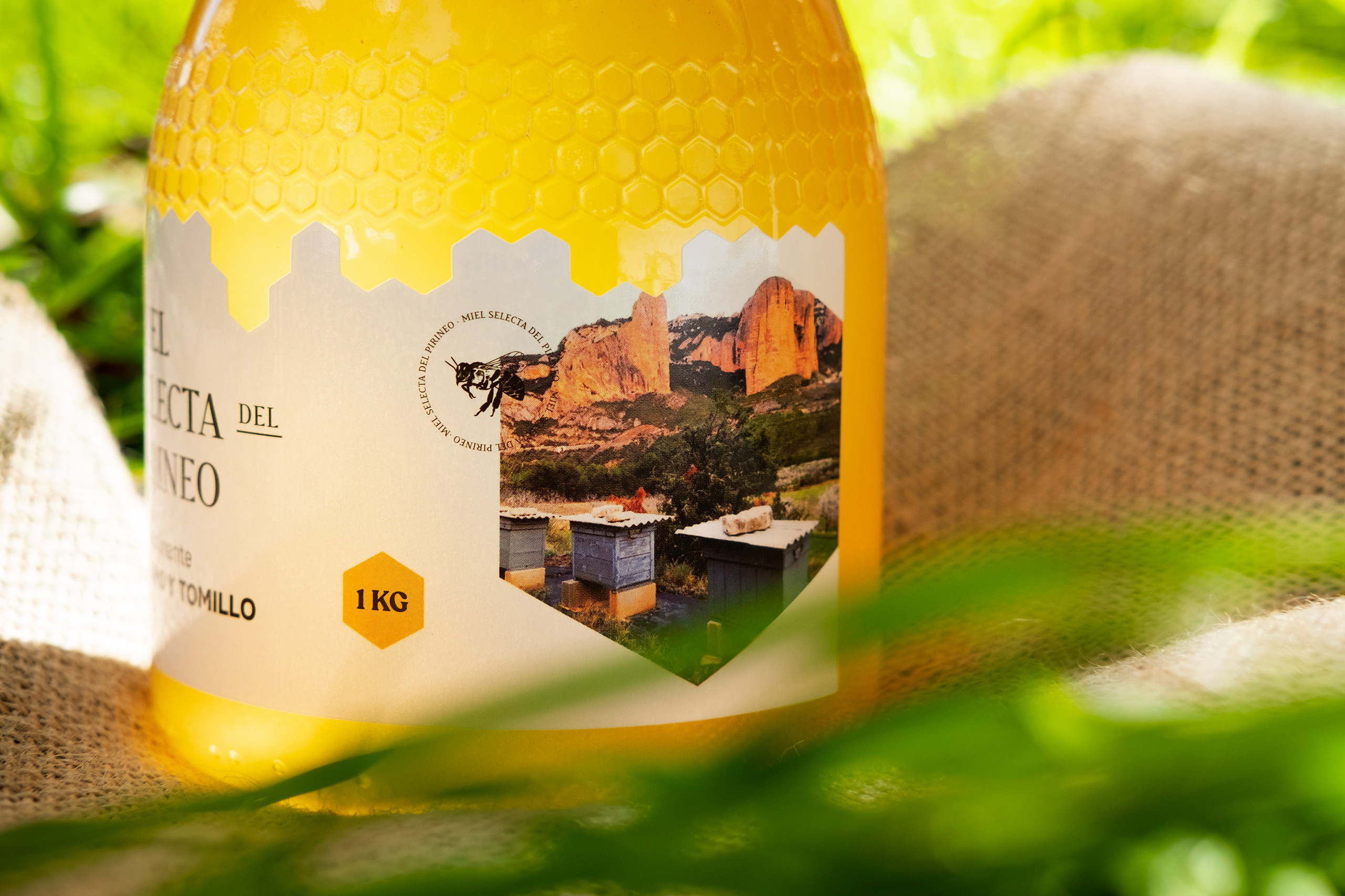 DSCF2601-miel-tomillo