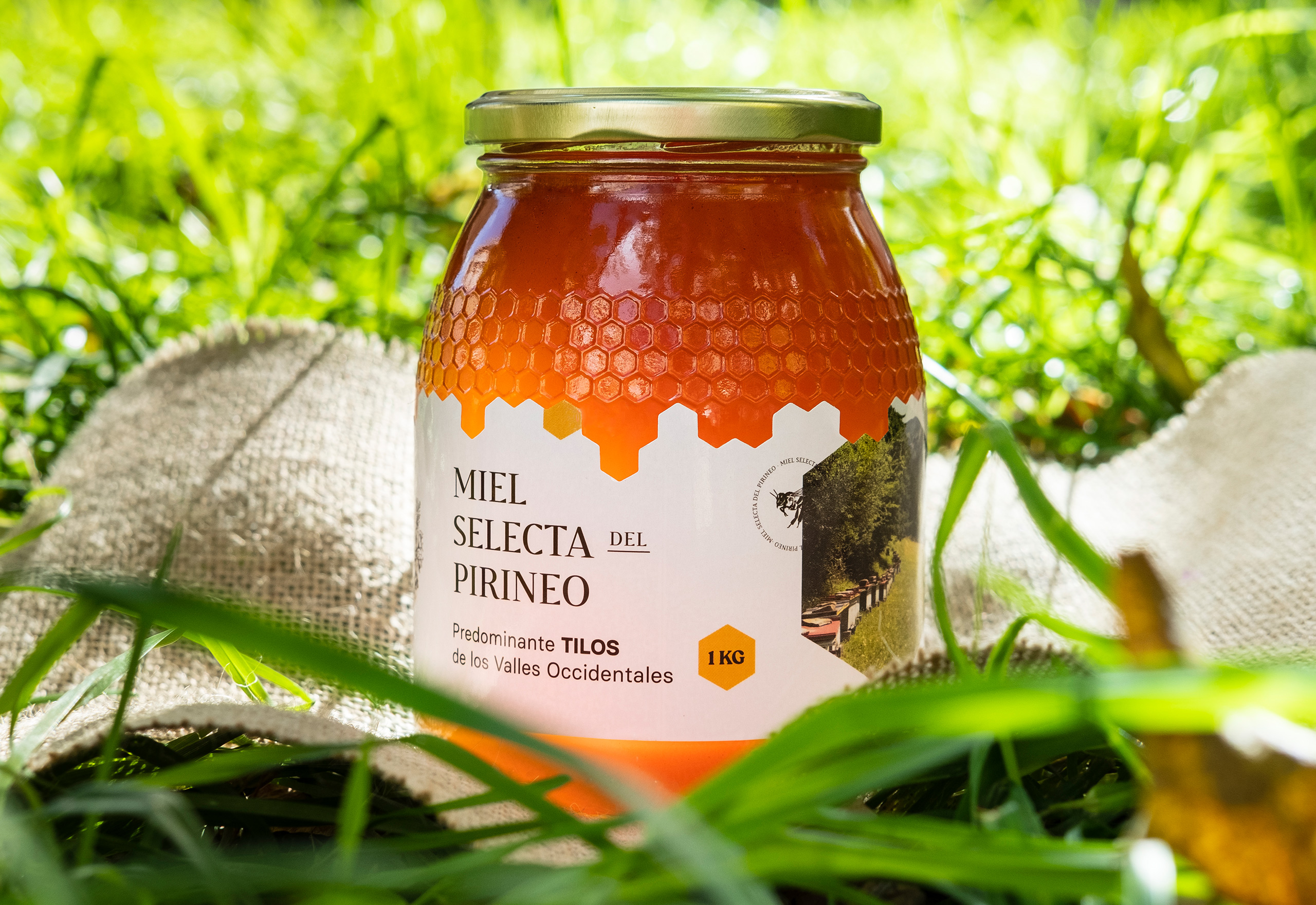 DSCF2622-miel-de-tilos